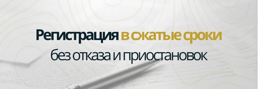 Регистрация в сжатые сроки под ключ в поселке Михайловка